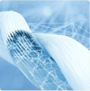Plant Fiber Crosslinking Technology