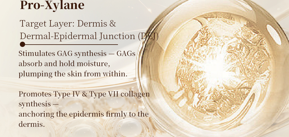 Daily Skincare Facial Serum for Smooth Skin Care Facial Clarifying Serum Helps Maintain Healthy Skin Look