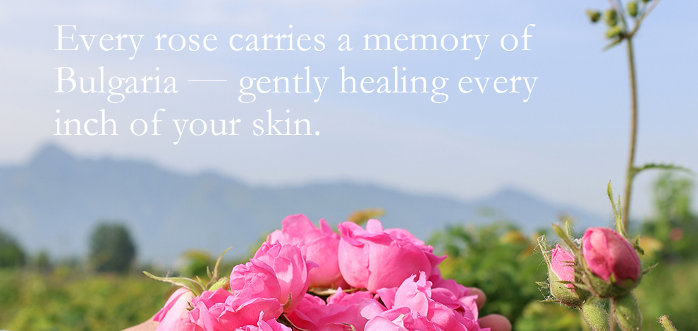 100ml Rose Hydrosol Mist For Dry Skin Relief